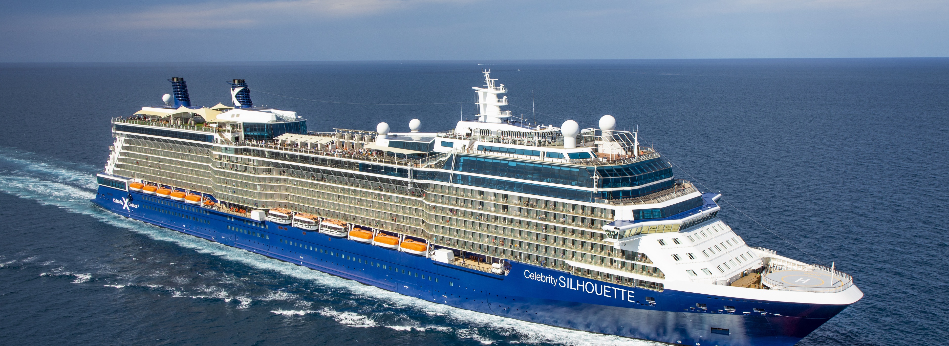 Celebrity Silhouette